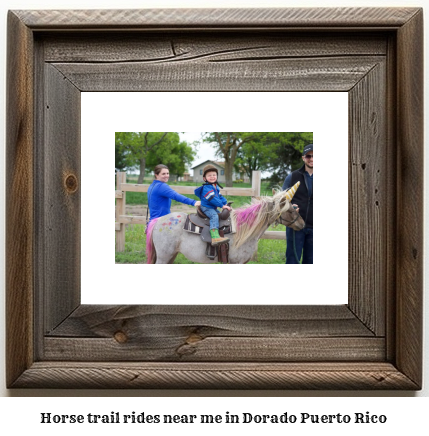 horse trail rides near me in Dorado, Puerto Rico